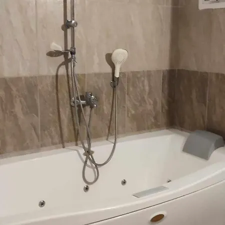 Апартаменты Lion