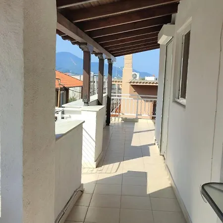 Апартаменты Lion *